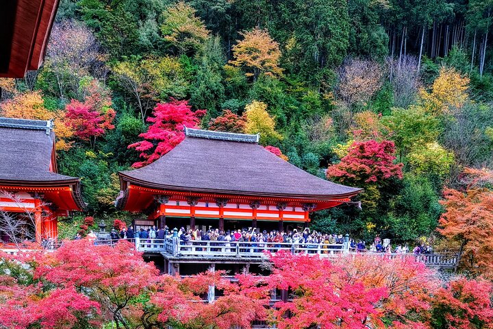 PERFECT KYOTO 1-Day Bus Tour