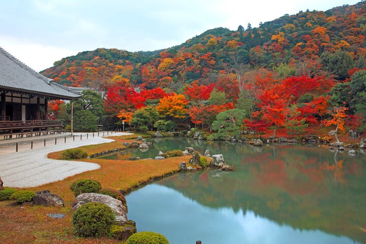 PERFECT KYOTO 1-Day Bus Tour