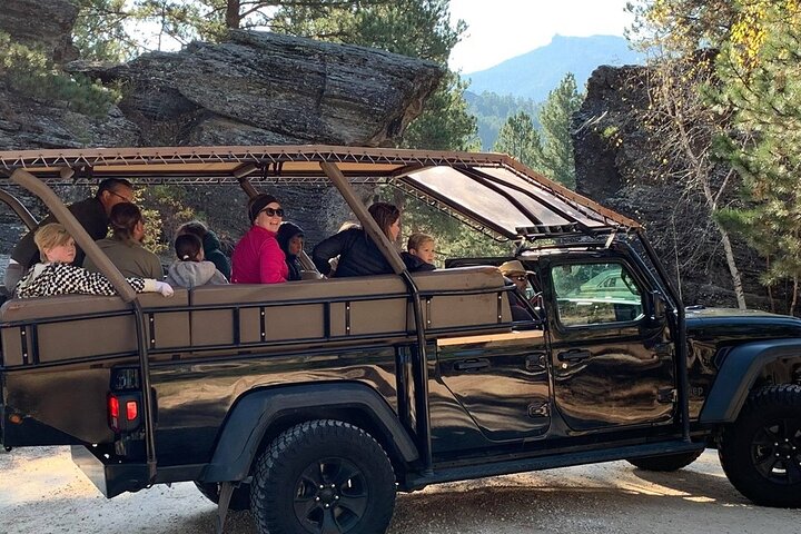 The Only Full Day - Jeep Bison Safari - W/ Lakeside Picnic Lunch