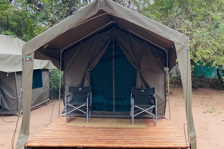 Two day Kruger National Park Safari from Johannesburg