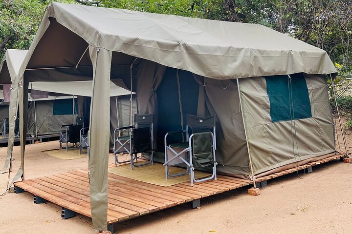 Two day Kruger National Park Safari from Johannesburg