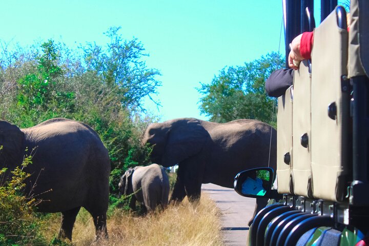 Two day Kruger National Park Safari from Johannesburg