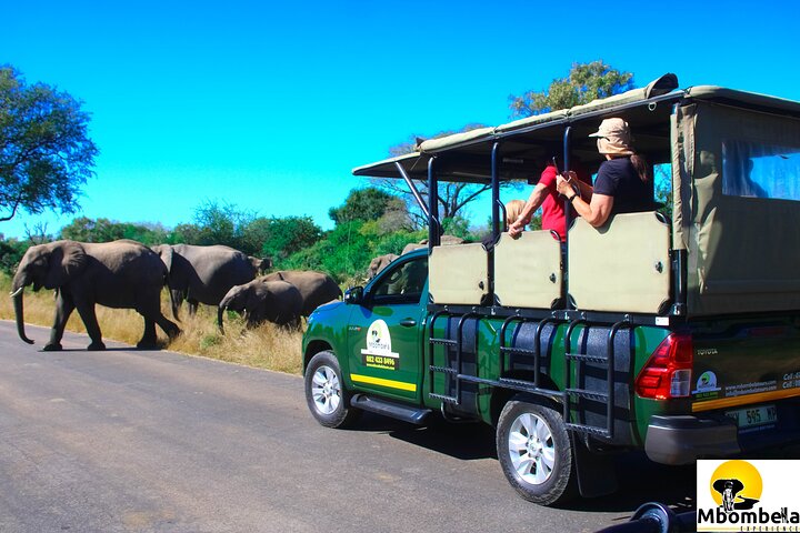 Two day Kruger National Park Safari from Johannesburg