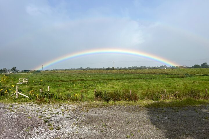 Private Tour: Ring of Kerry from Sneem, Parknasilla, Kenmare etc.