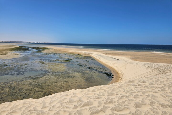 Discover the unusual sites of Dakhla in a 4x4 with a local guide