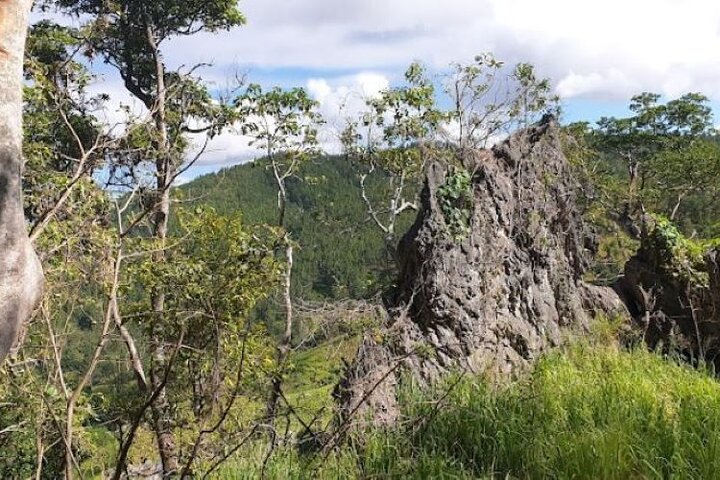 Largest Zipline in South Pacific & Cave Exploration in Nadi