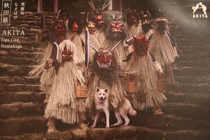 Private Half Day Akita Namahage Tour with Licensed Guide