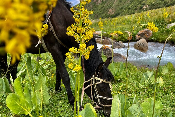 3 Days Horseback Riding to Song Kol Lake from Kyzart Village