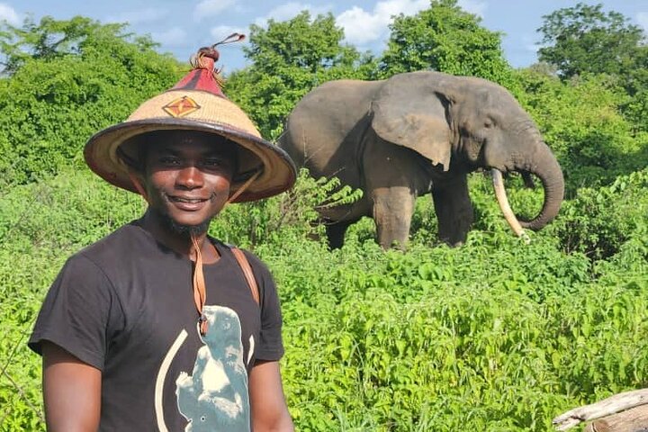 3 Days Zaina Elephants Safari - Eco luxury lodge experience