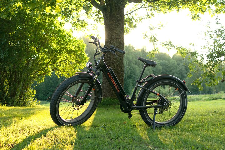 3-Hour Electric Fat Bike Rental
