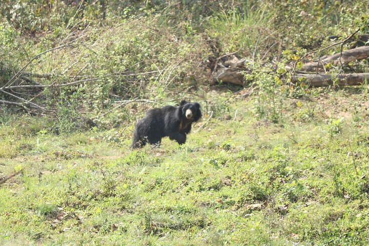 Adventure Day Walk(Private, 8-10h.) inside Chitwan National Park.