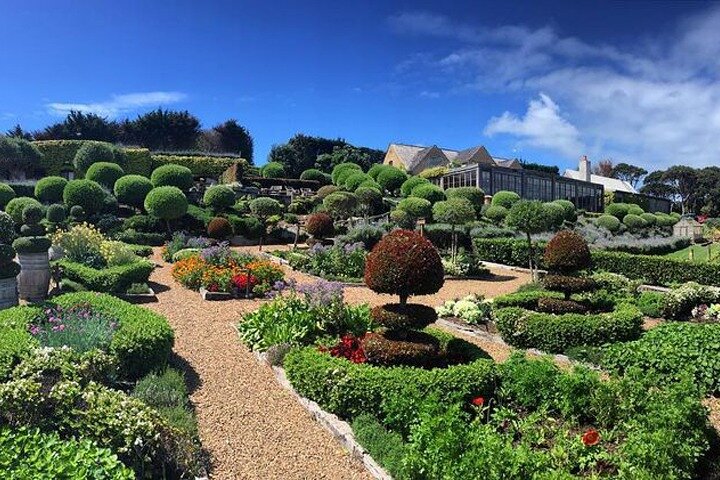 4 hours Sunset Tour on Waiheke Island