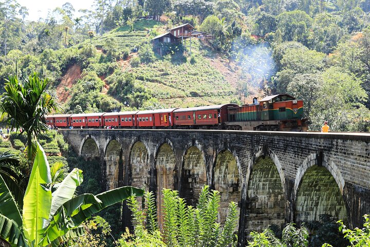 Explore the best of Ella. Hiking, waterfalls and cultural tour