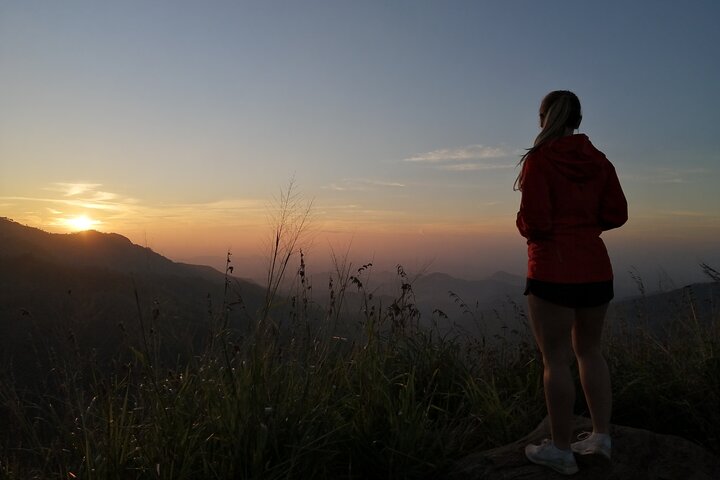 Explore the best of Ella. Hiking, waterfalls and cultural tour
