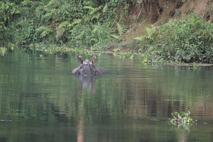 Adventure Day Walk(Private, 8-10h.) inside Chitwan National Park.