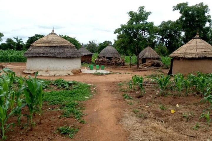 Tamale City Private Tour