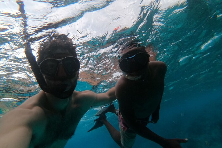 Mnemba Dolphins, Snorkeling & Nungwi Swim With Sea Turtles