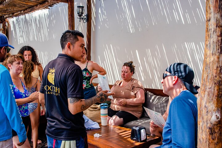 ATV 4×4+Snorkeling+Beach Club+ Lunch+Sabores de Cozumel