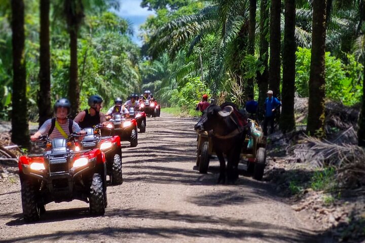 Manuel Antonio: Off Road Rainforest and Waterfalls ATV Tour