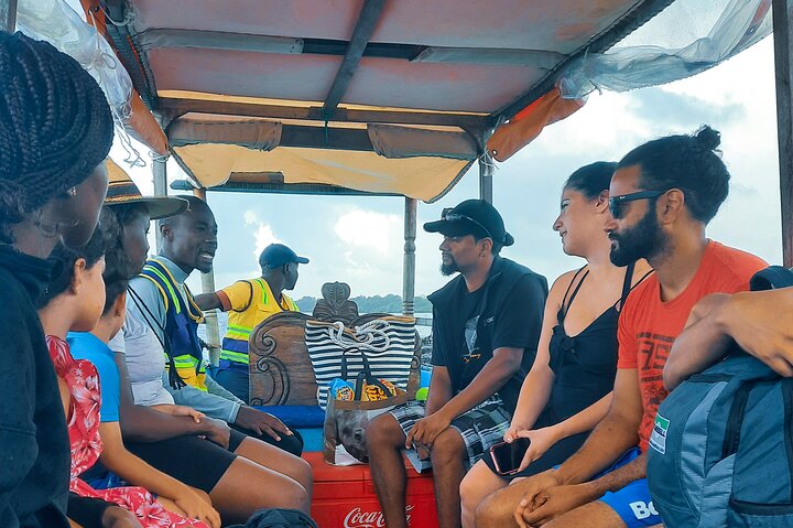 Full Day Dolphin Watching with Snorkeling in Wasini