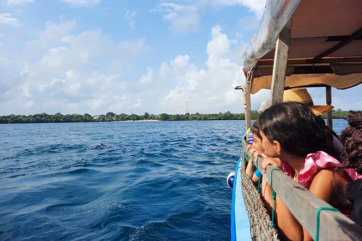 Full Day Dolphin Watching with Snorkeling in Wasini