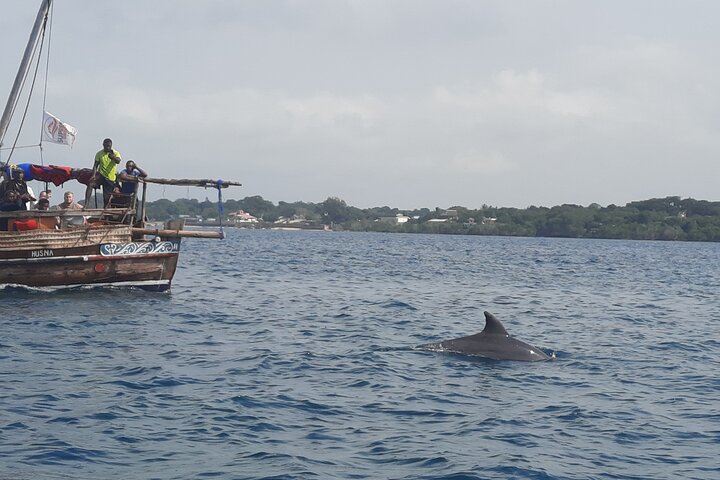 Full Day Dolphin Watching with Snorkeling in Wasini