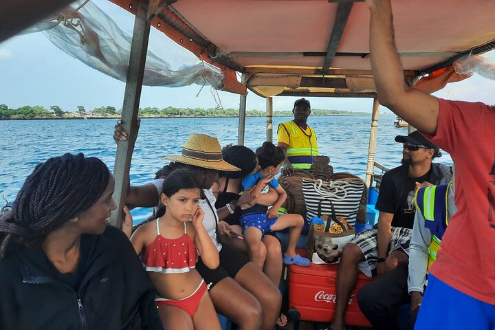 Full Day Dolphin Watching with Snorkeling in Wasini