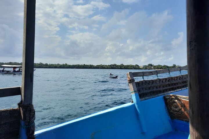 Full Day Dolphin Watching with Snorkeling in Wasini