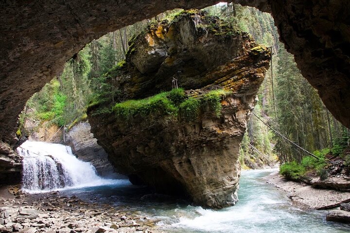8 Iconic Stops. 12 Comfy Seats. See Banff's Best in First Class.
