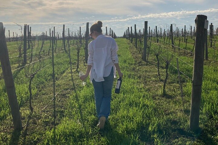 Enjoy a Rural Experience in a Vineyard near Buenos Aires
