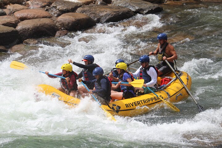 Durango ~ "Half-Day" Rafting Trip on the Lower Animas River
