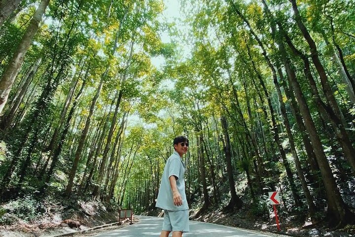 Bohol Full Day Waterfall & Countryside Scooter Tour