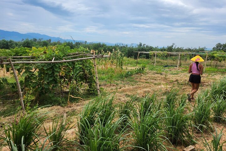 ATV Quad Bike Hoi An Adventure & BBQ Feast
