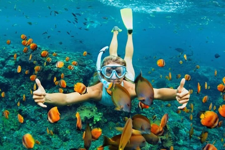 Cham Island Daily-Snorkeling(Pick up from Da Nang/ Hoi An)