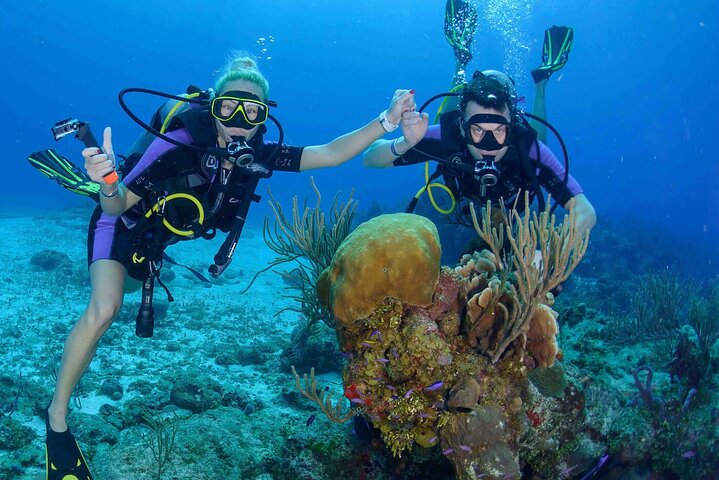 Cham Island Daily-Snorkeling(Pick up from Da Nang/ Hoi An)