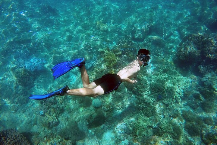 Cham Island Daily-Snorkeling(Pick up from Da Nang/ Hoi An)