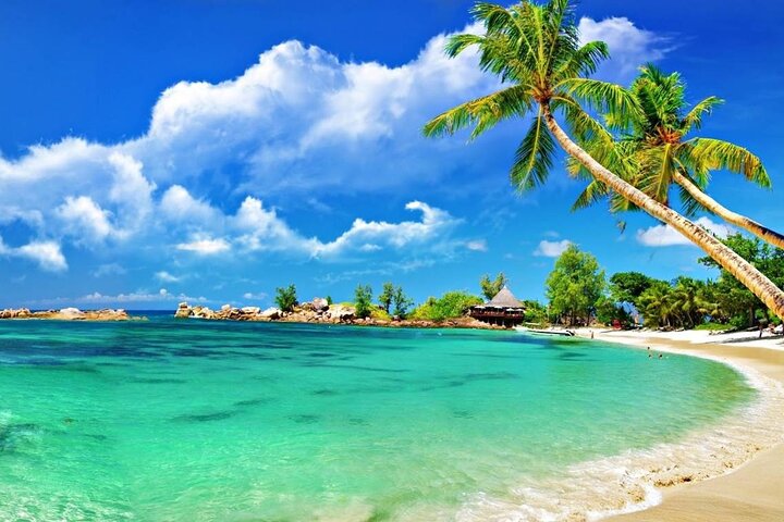 Cham Island Daily-Snorkeling(Pick up from Da Nang/ Hoi An)