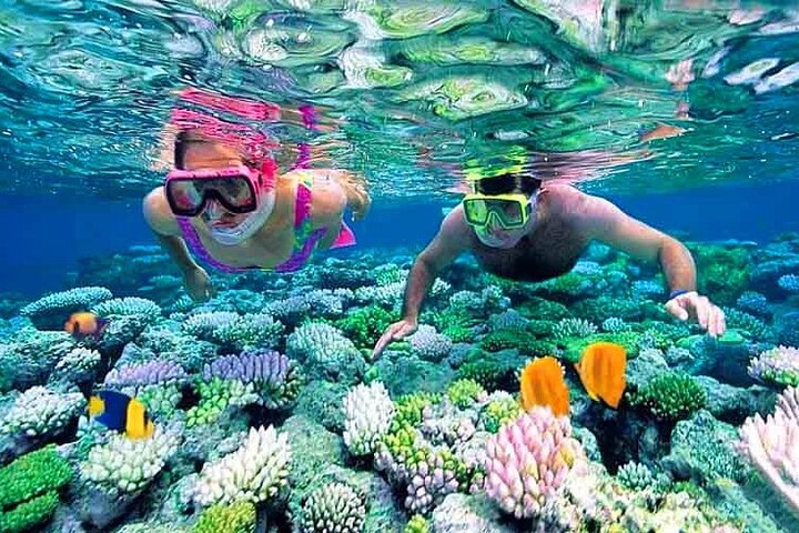 Cham Island Daily-Snorkeling(Pick up from Da Nang/ Hoi An)