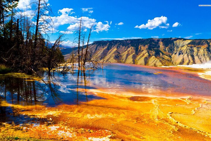 Private Yellowstone National Park Tour (Upper Loop)