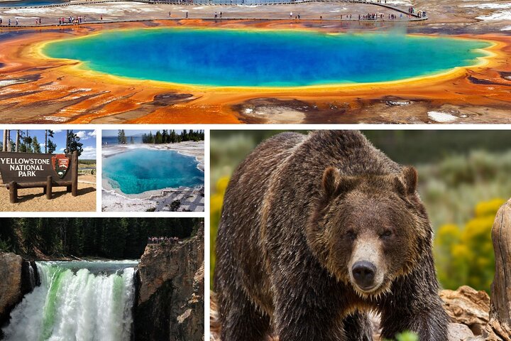 Private Yellowstone National Park Tour (Upper Loop)