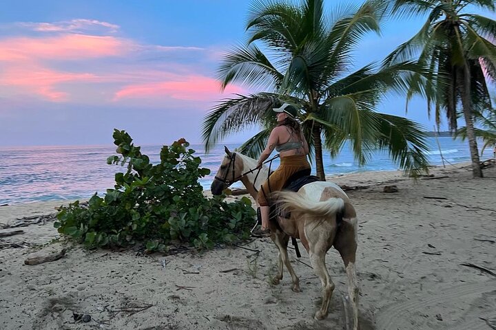 2 Hour Beach Horse Back Riding in Puerto Viejo