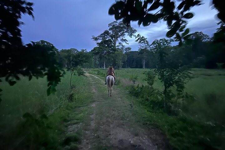 2 Hour Beach Horse Back Riding in Puerto Viejo