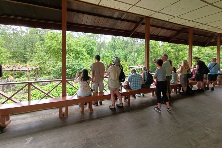 Full-Day Sepilok Orangutan and Sandakan City Trail from Kota Kinabalu