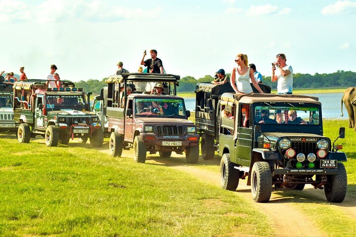Private Jeep Safari at Minneriya National Park to Visit Elephants