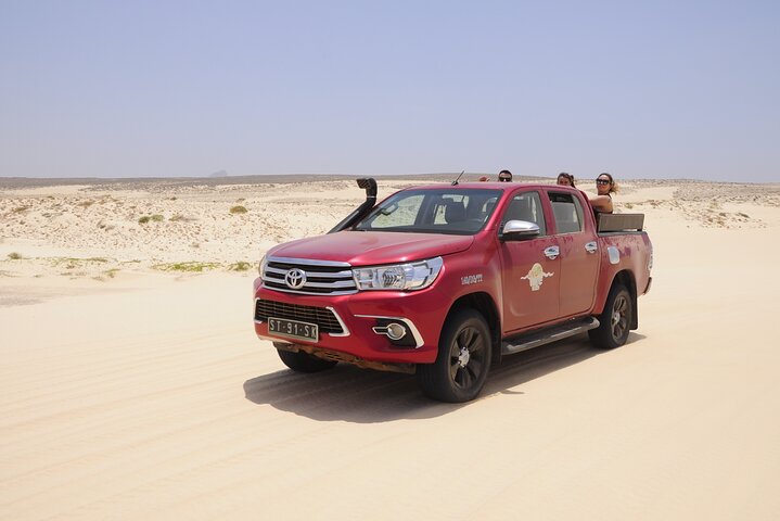 4x4 Tour - Sandboard, Shark & Green Turtle's Bay, Snacks & Drinks