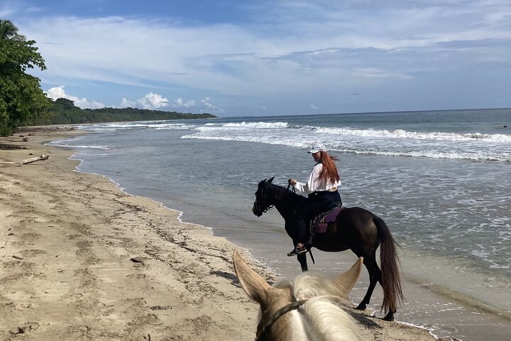 2 Hour Beach Horse Back Riding in Puerto Viejo