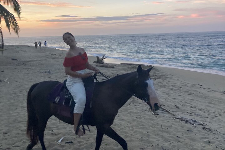 2 Hour Beach Horse Back Riding in Puerto Viejo