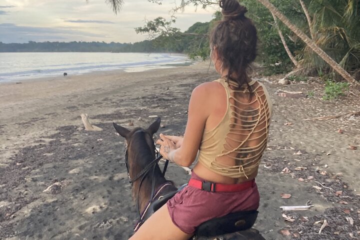 2 Hour Beach Horse Back Riding in Puerto Viejo