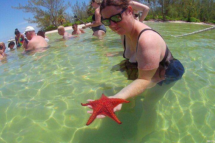 Stingray City and Starfish Experience with Coral Reef Snorkeling