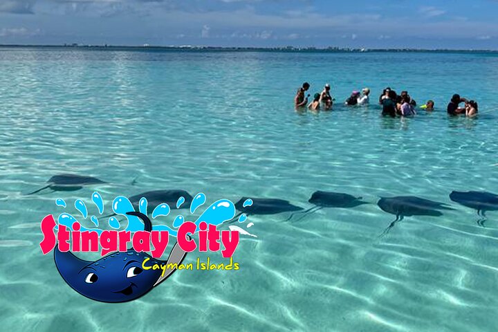 Stingray City and Starfish Experience with Coral Reef Snorkeling